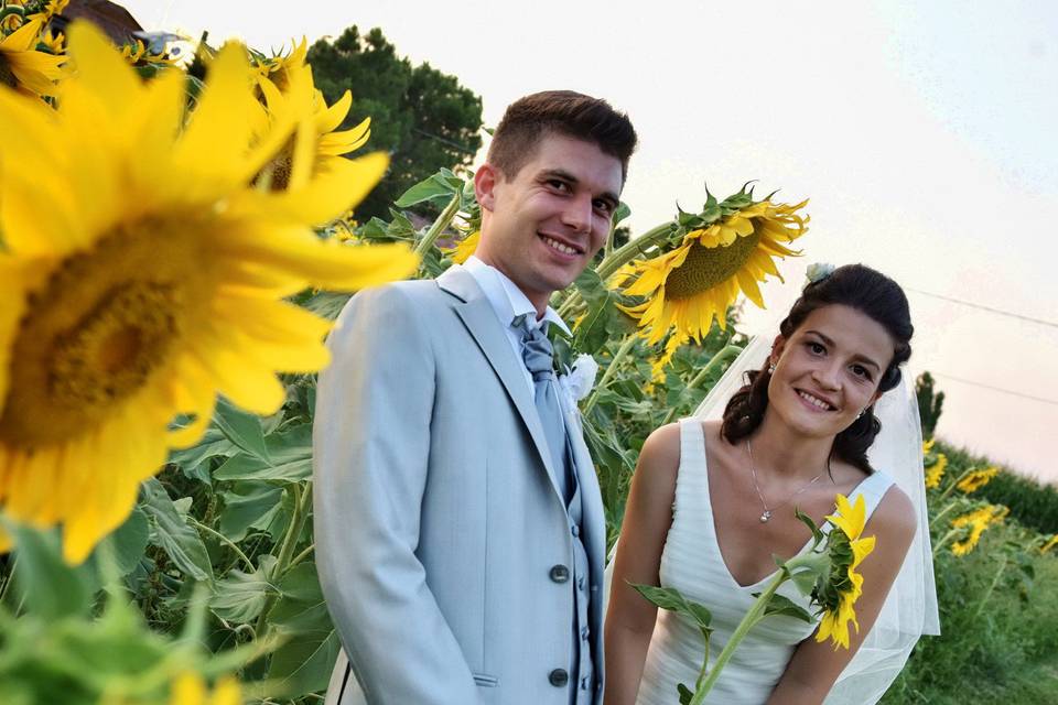 Matrimonio di Girasoli