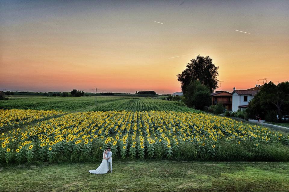 Agriturismo Il Murello