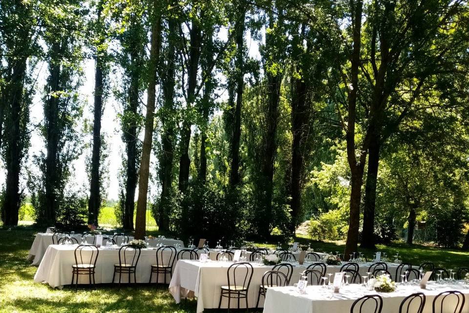 Pranzo nel parco