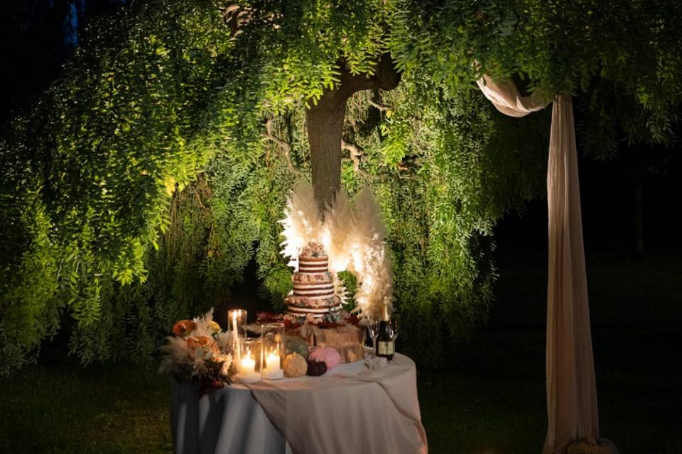 Albero per torta