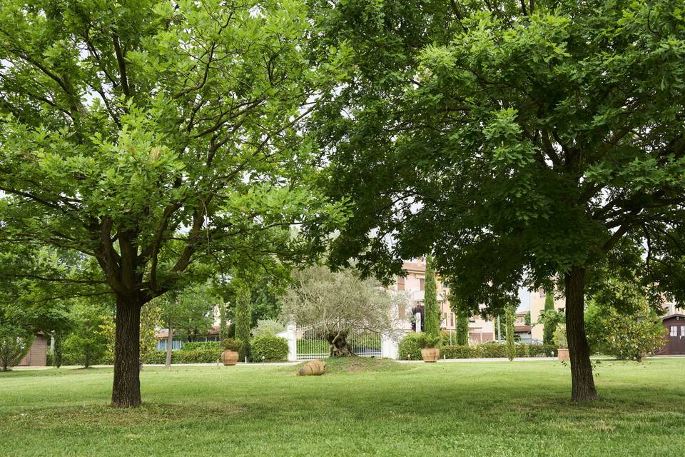 Giardino