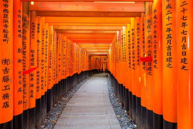 Torii Giappone