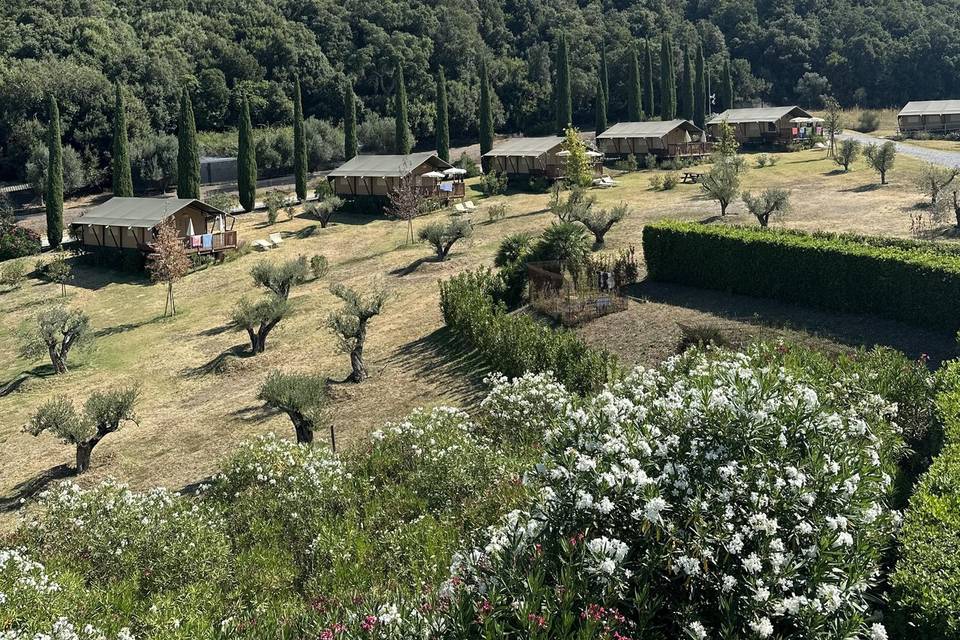 Glamping e uliveta