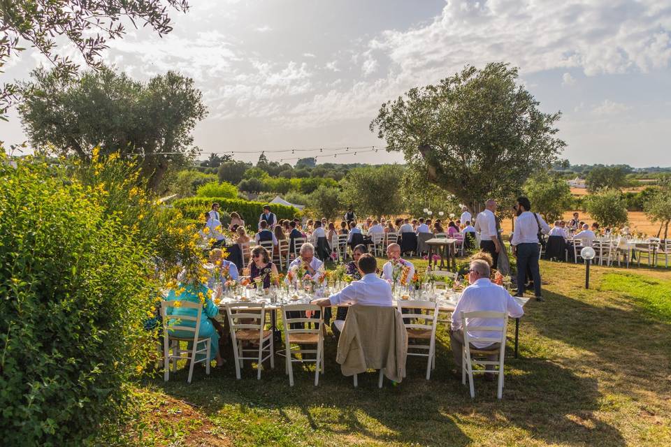 Terra Sessana. Giardino