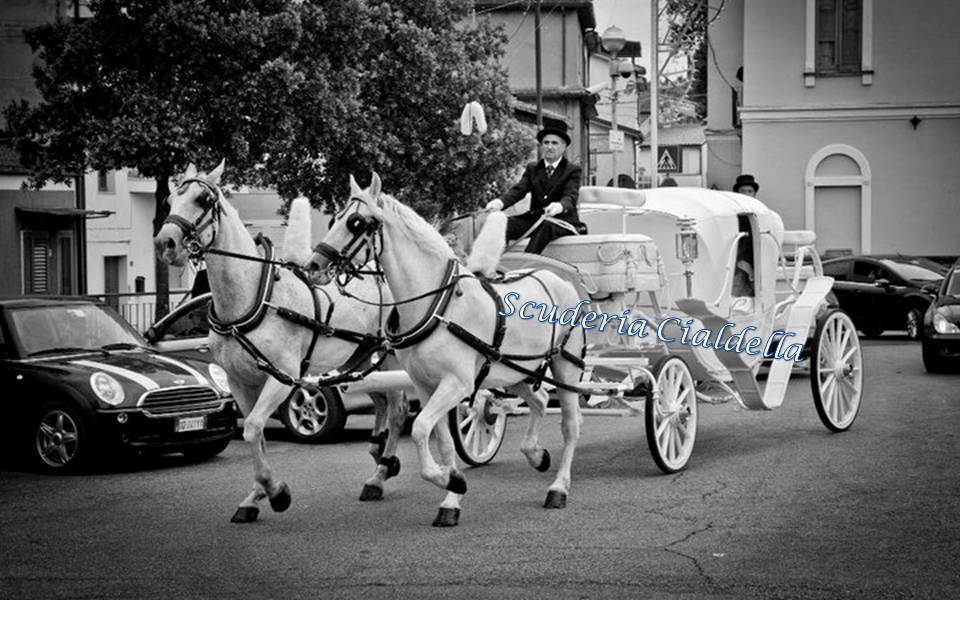 Carrozza d'epoca fine '800