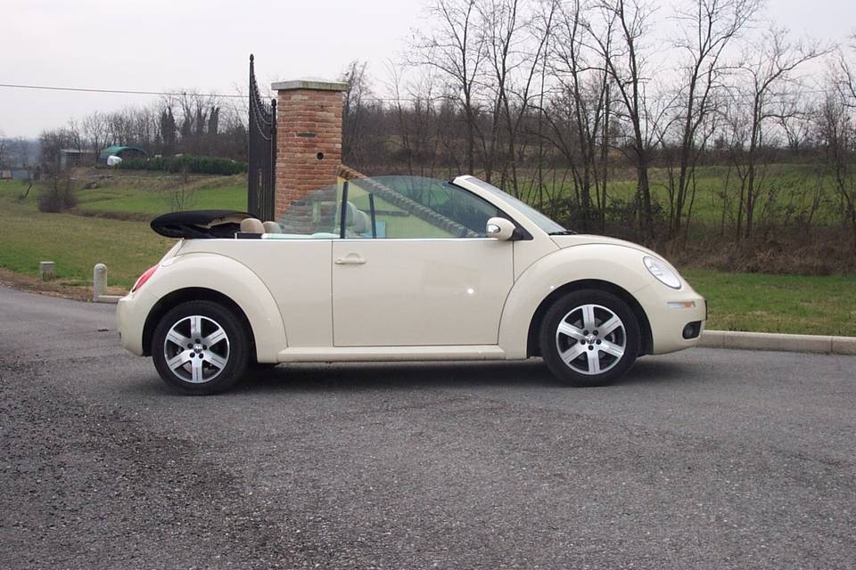 New Beetle