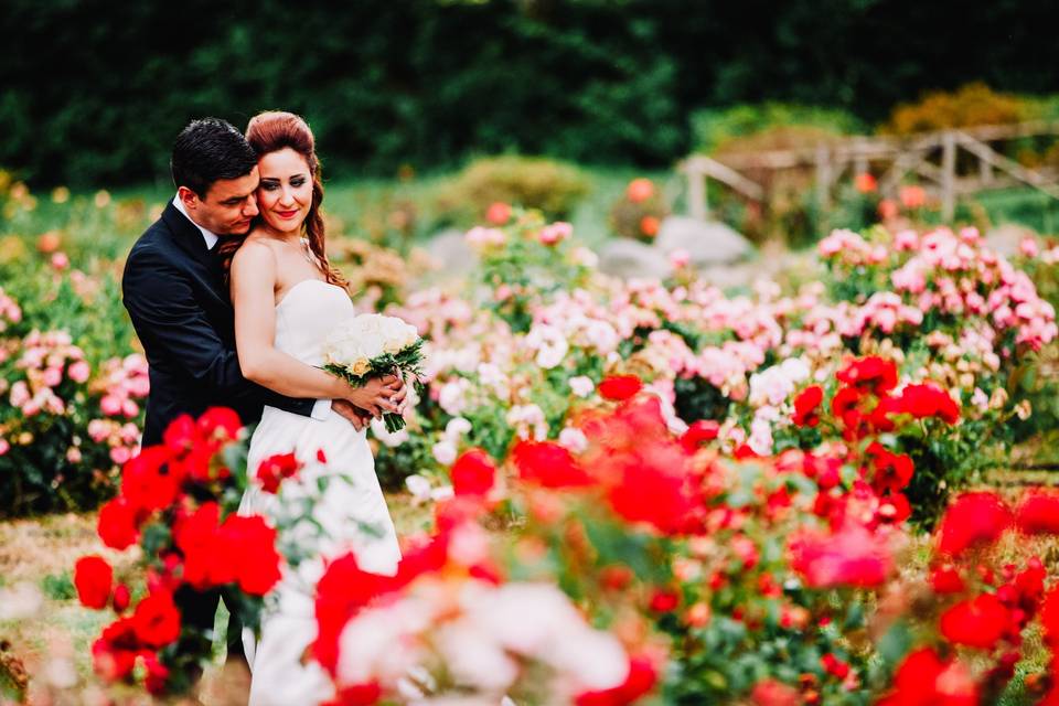 Barbara Laurenti Photography