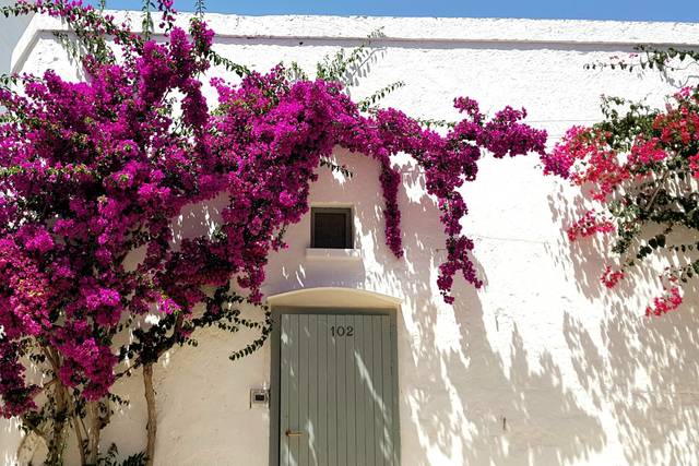 Masseria Montalbano