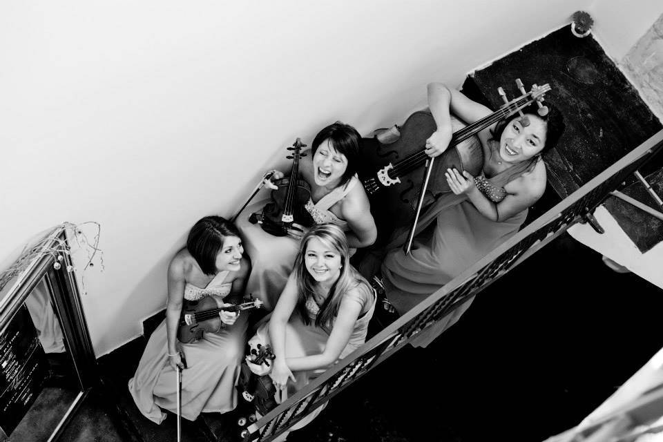 Dammen Quartet 2015