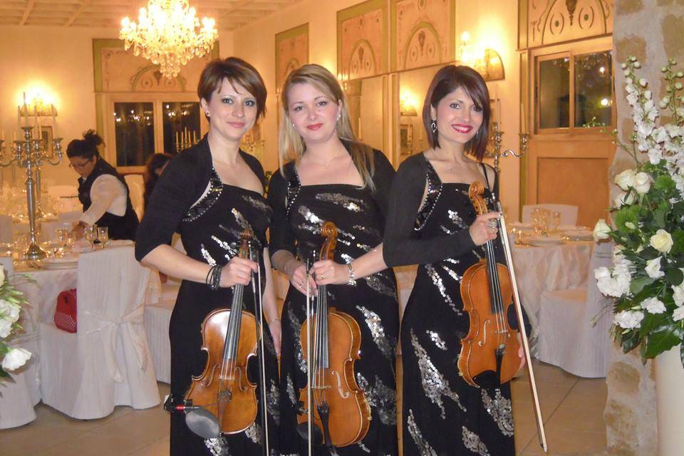 Dammen - Quartetto d'archi femminile