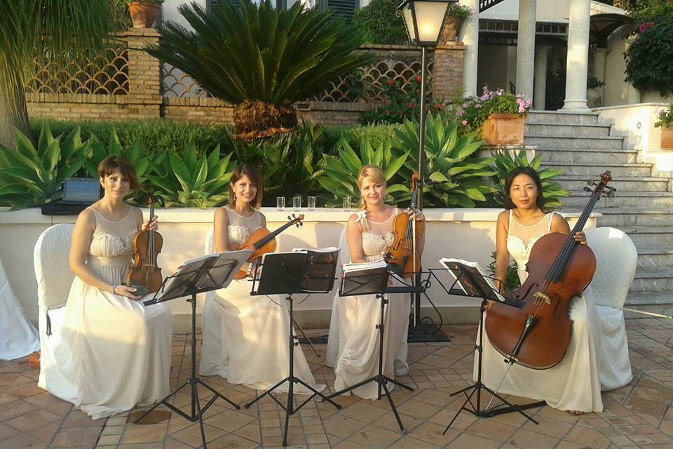 Dammen - Quartetto d'archi femminile