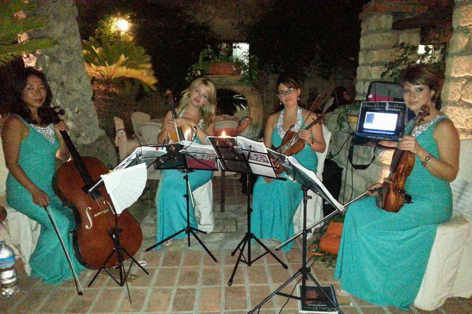 Dammen - Quartetto d'archi femminile