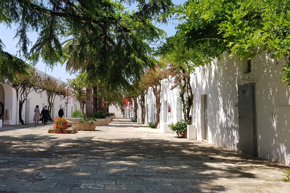 Masseria Montalbano