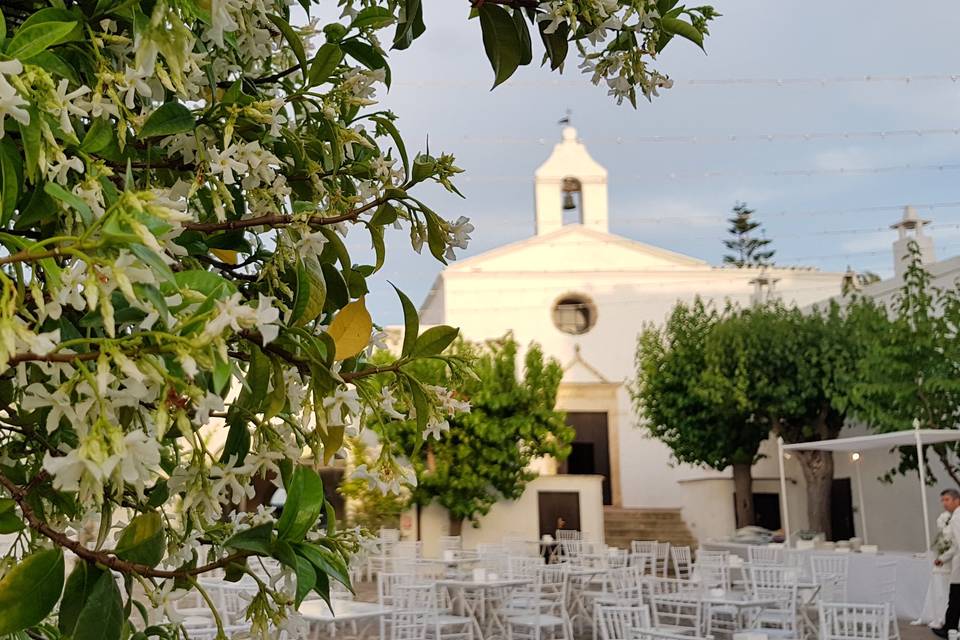 Cena in corte