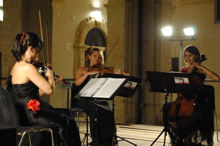 Dammen - Quartetto d'archi femminile