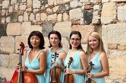 Dammen - Quartetto d'archi femminile