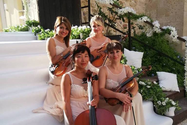 Dammen - Quartetto d'archi femminile