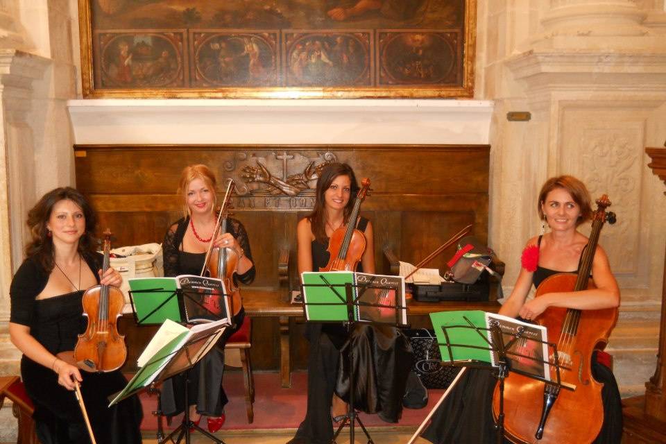 Dammen - Quartetto d'archi femminile