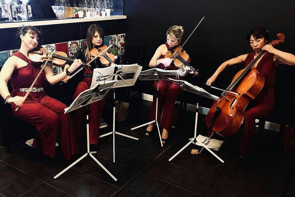 Dammen - Quartetto d'archi femminile