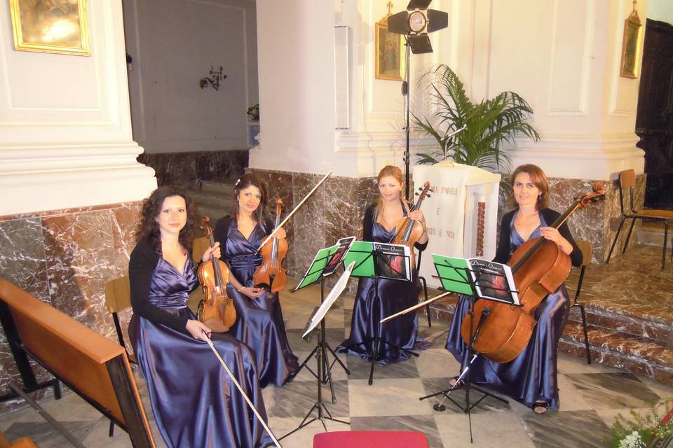 Dammen quartet 2012