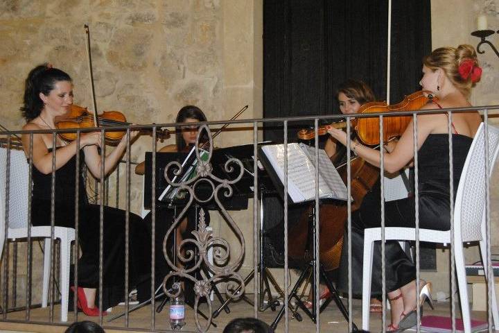 Dammen - Quartetto d'archi femminile