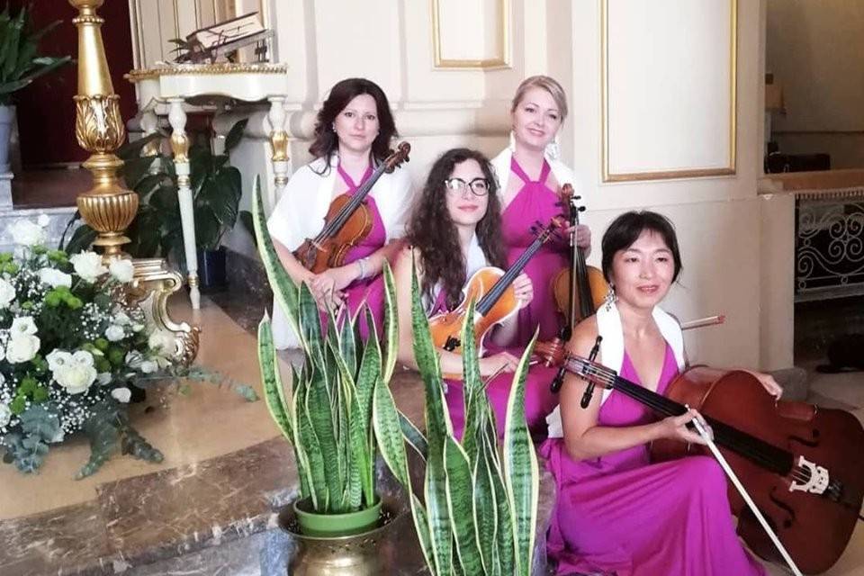 Dammen - Quartetto d'archi femminile