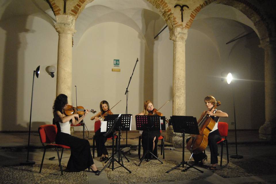 Dammen - Quartetto d'archi femminile