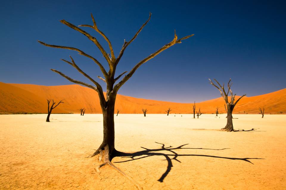 Desert - NAMIBIA