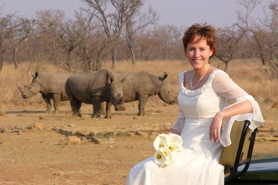Sposa e rinoceronti