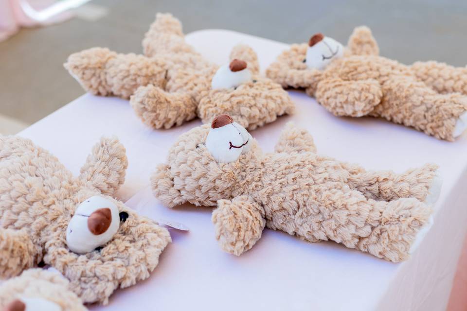 Orsacchiotti peluche