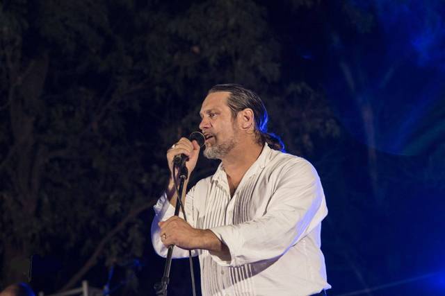 Cantante professionista