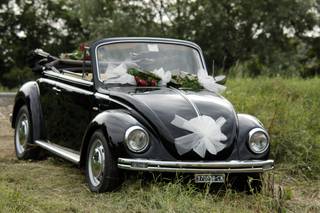 Vw wedding