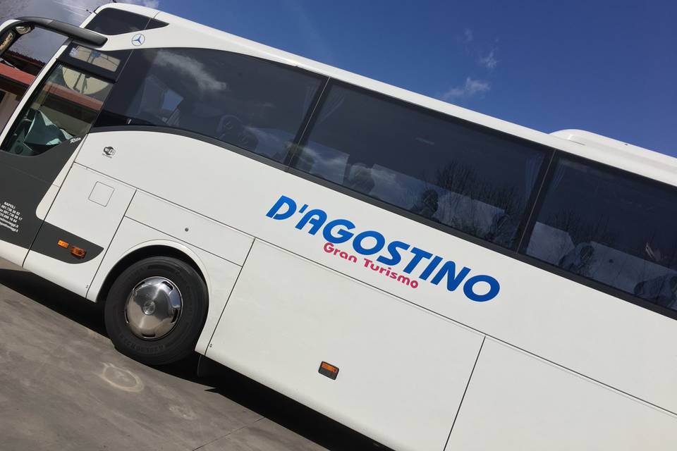 Grafica autobus D'Agostino