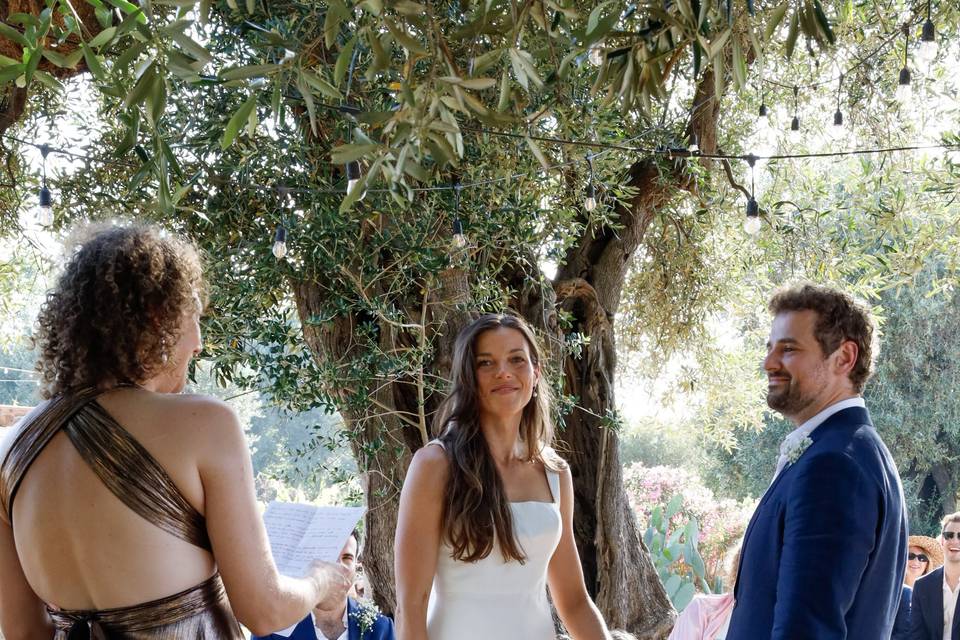 Wedding