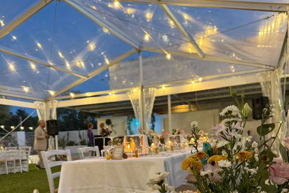 Wedding