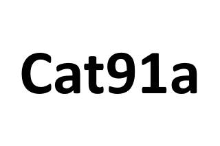 Cat91a