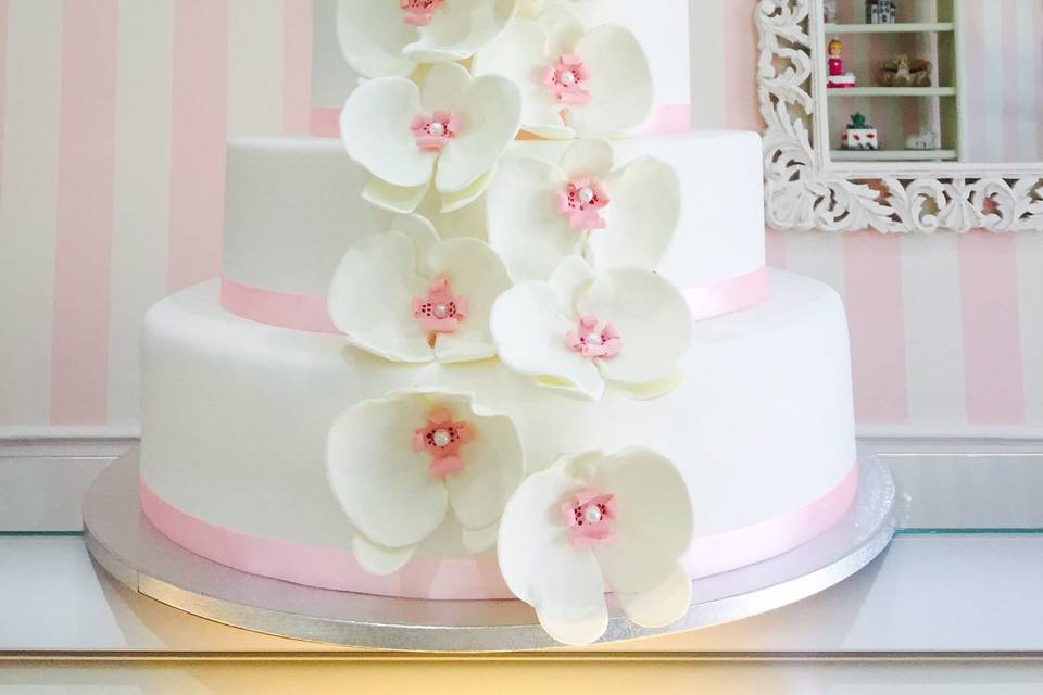 Wedding orchidee