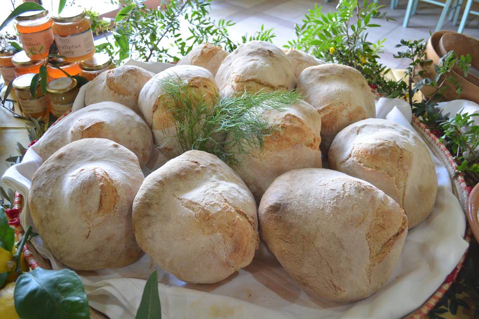 Pane / forno a legna