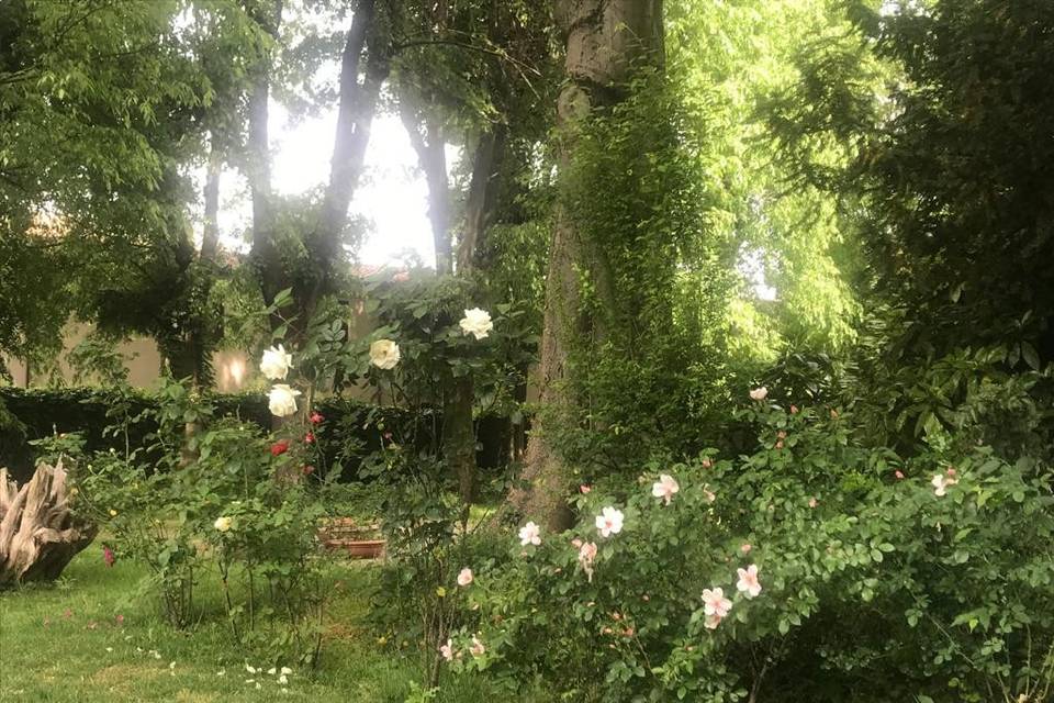 Rose giardino villa cantoni