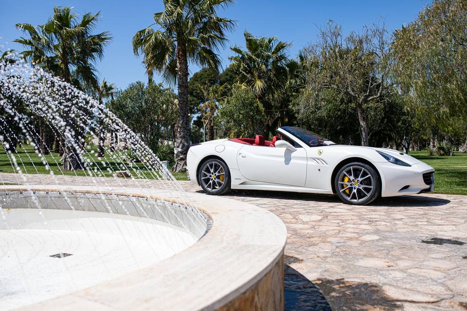 Ferrari Wedding Luxury Car
