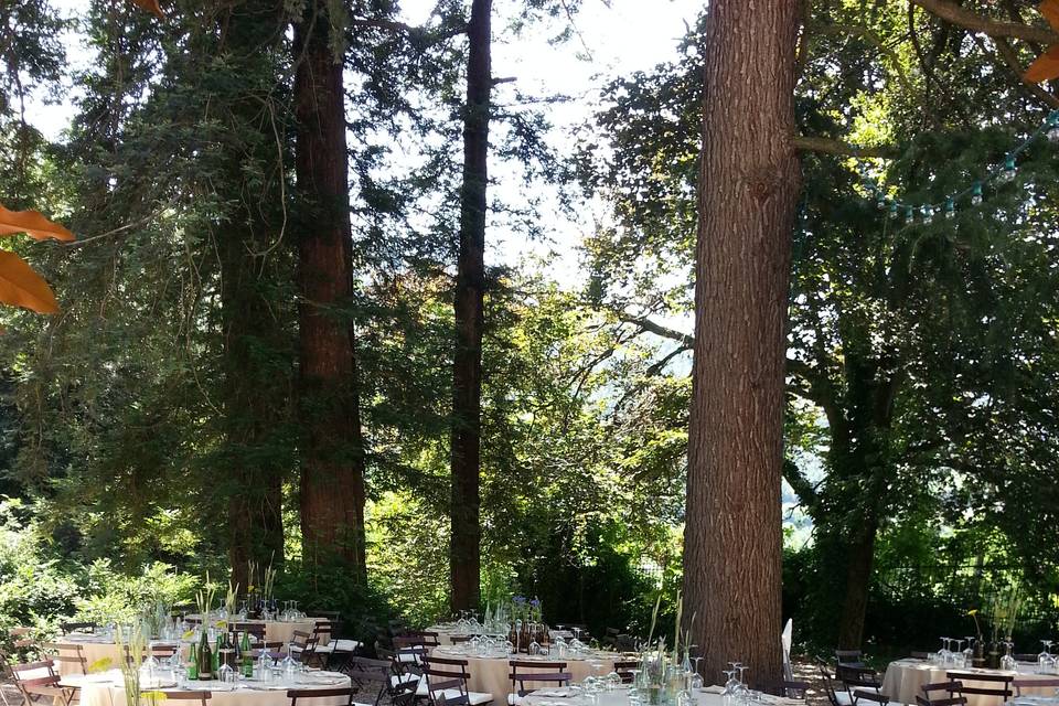 Cena nel parco