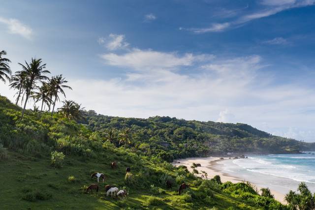 Nihi hotel sumba island
