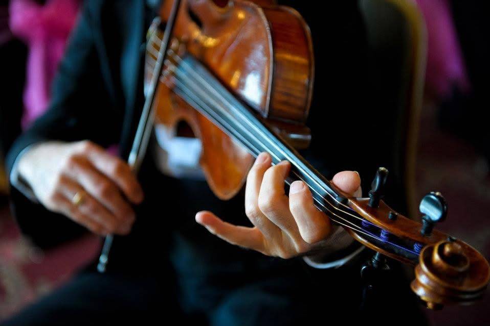 Violin