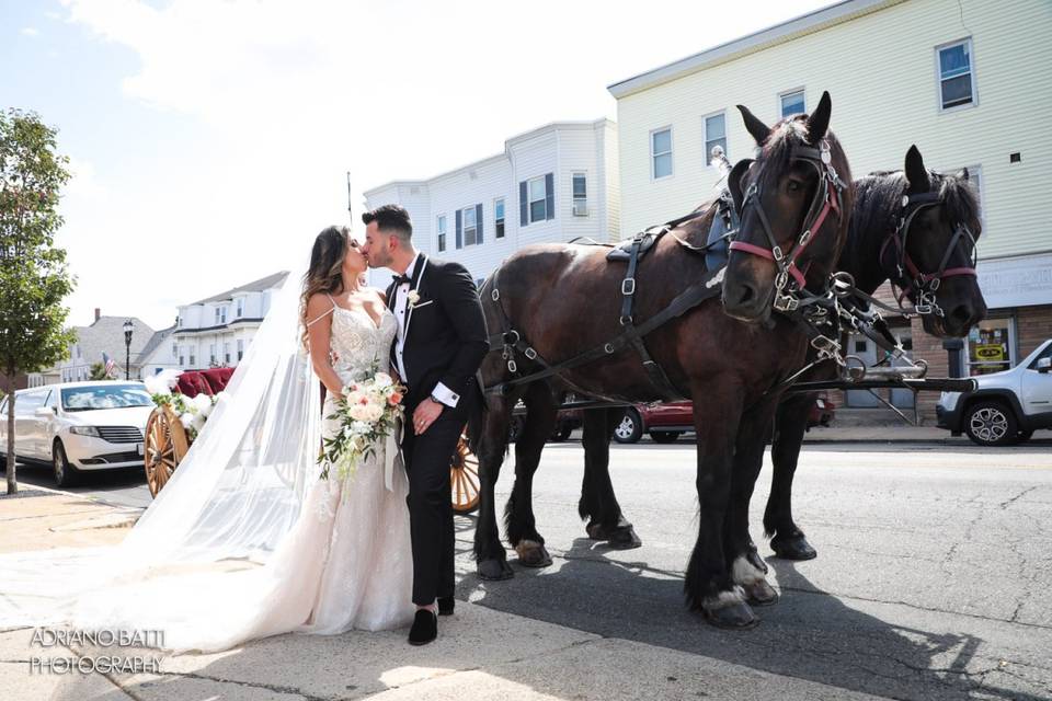 Horses