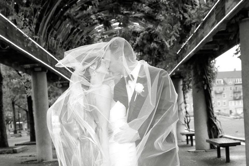 Veil