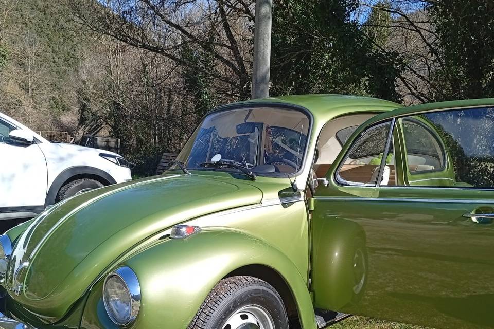 Maggiolone '74
