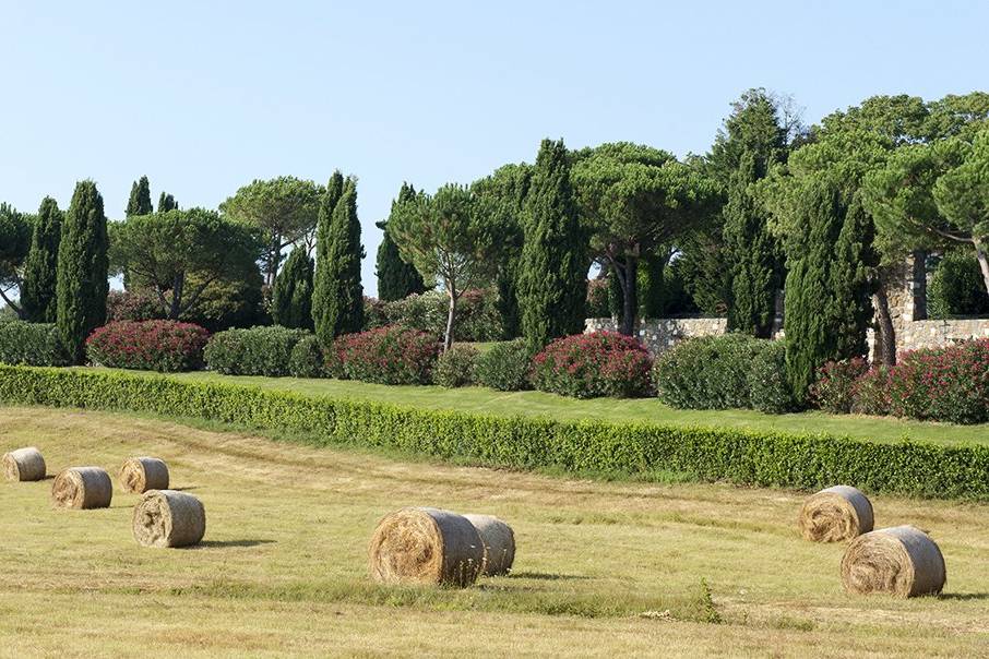 Tenuta di Ripolo