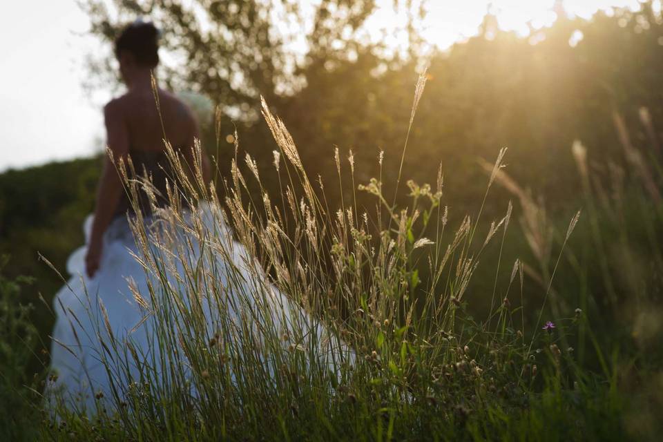 Wedding photojournalism