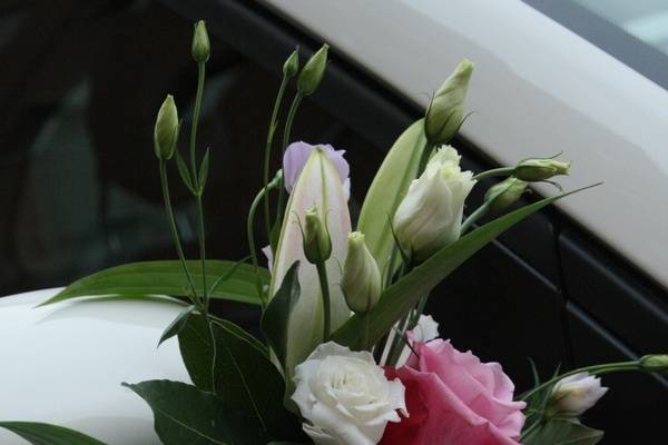 Decorazione auto sposa