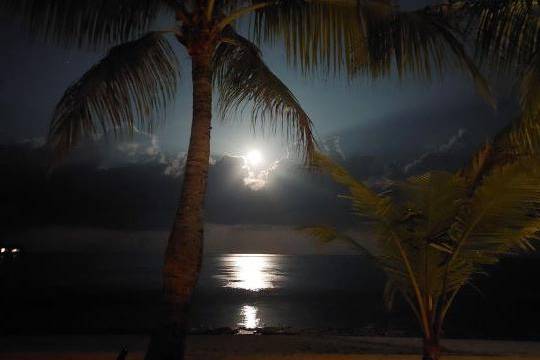 Maldive